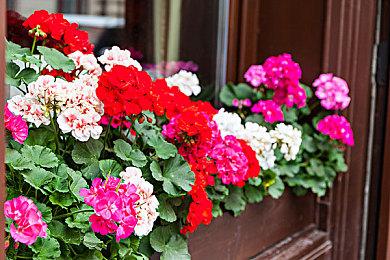 育碧骚操作！《刺客信条：幻景》首日补丁偷偷加入D加密